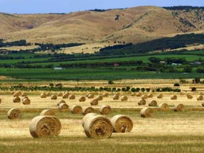 Soil Health Partnership